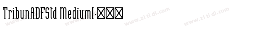 TribunADFStd MediumI字体转换
